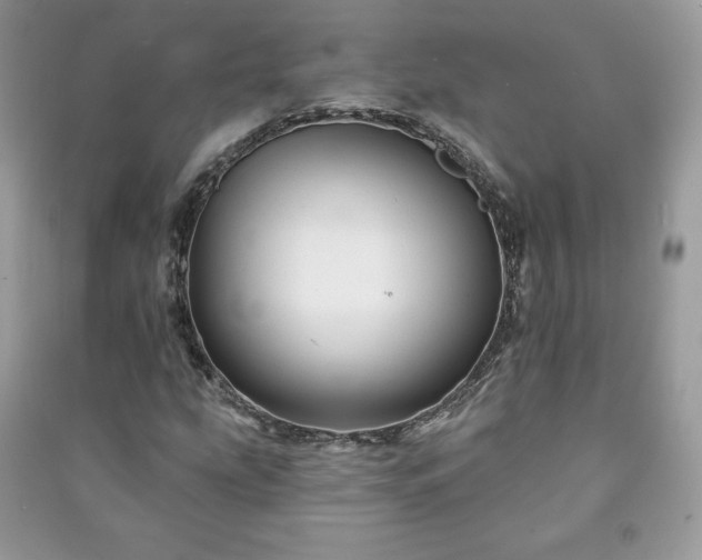 X0000090971207200708091428