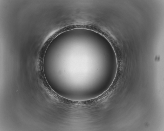 X0000090971208200708091428