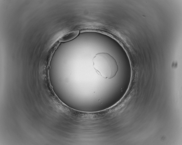 X0000090971211200708091428