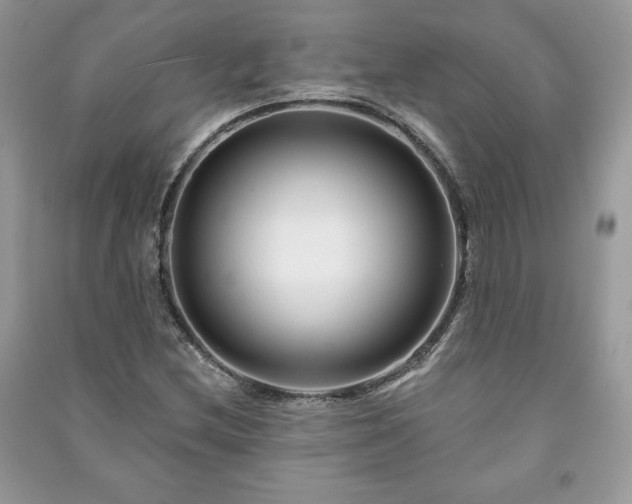 X0000090971212200708091428