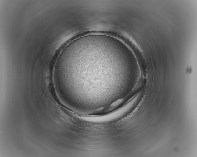 X0000090971213200708091428