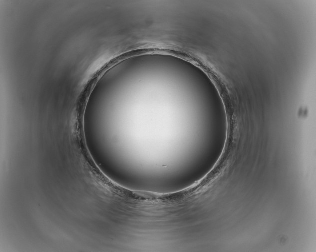 X0000090971215200708091428