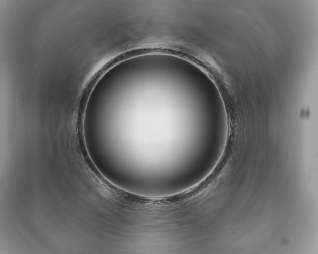 X0000090971216200708091428