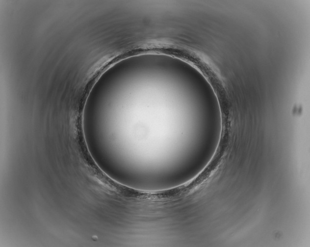 X0000090971217200708091428