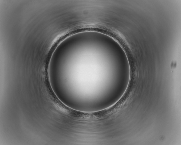 X0000090971218200708091428