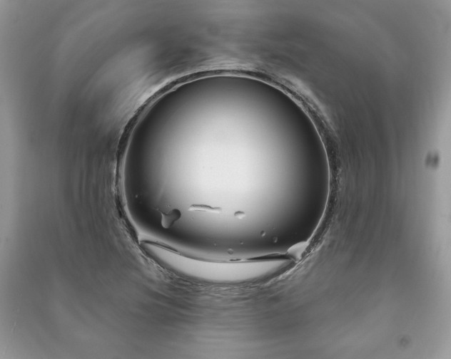 X0000090971220200708091429