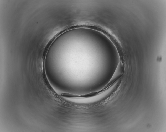 X0000090971221200708091429