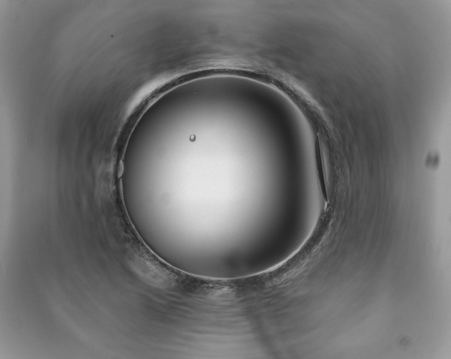 X0000090971222200708091429