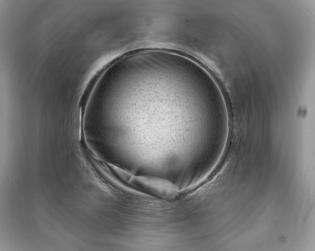 X0000090971223200708091429