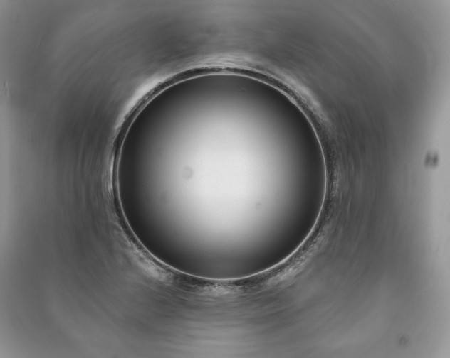 X0000090971224200708091429