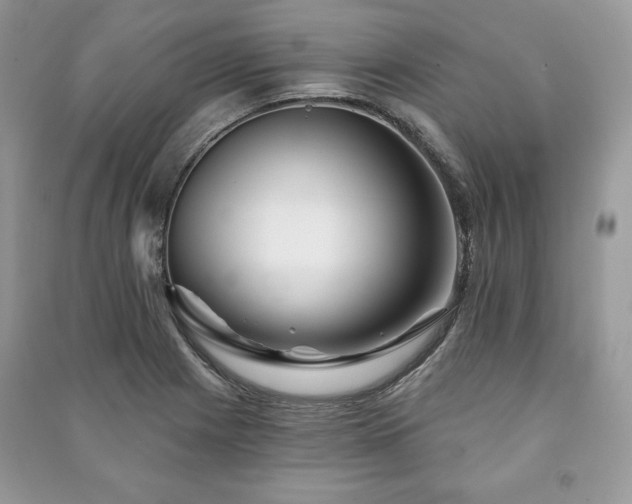 X0000090971225200708091429