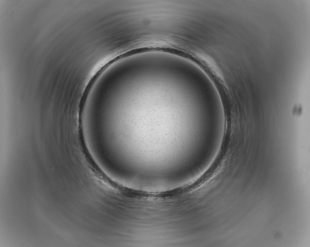 X0000090971226200708091429