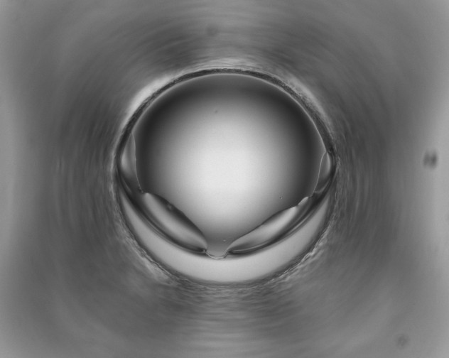 X0000090971230200708091429