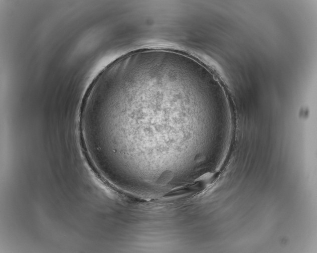 X0000090971231200708091429