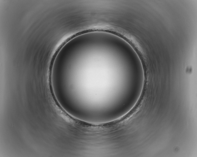 X0000090971232200708091429