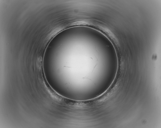 X0000090971233200708091429