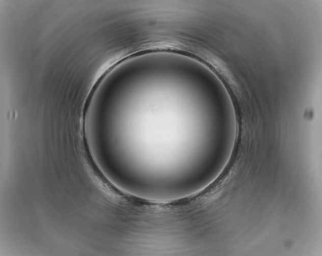 X0000090971234200708091429