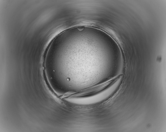 X0000090971235200708091429