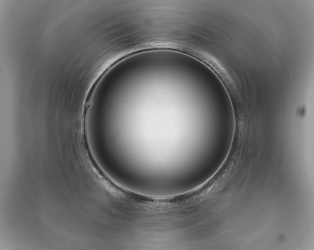 X0000090971236200708091429