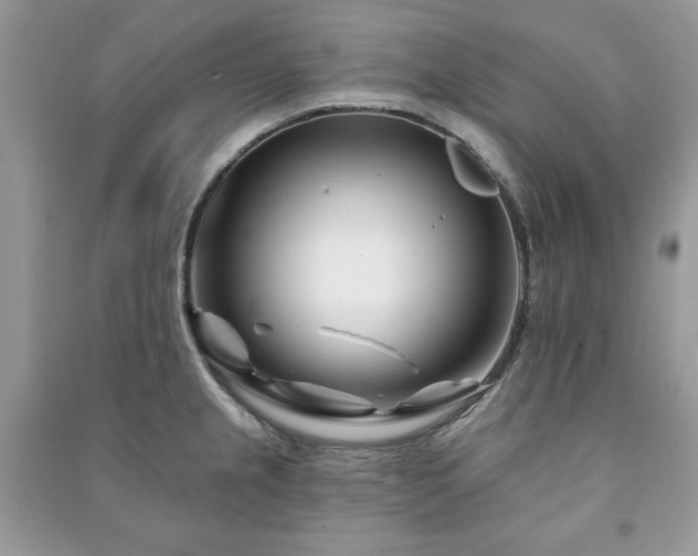 X0000090971237200708091429