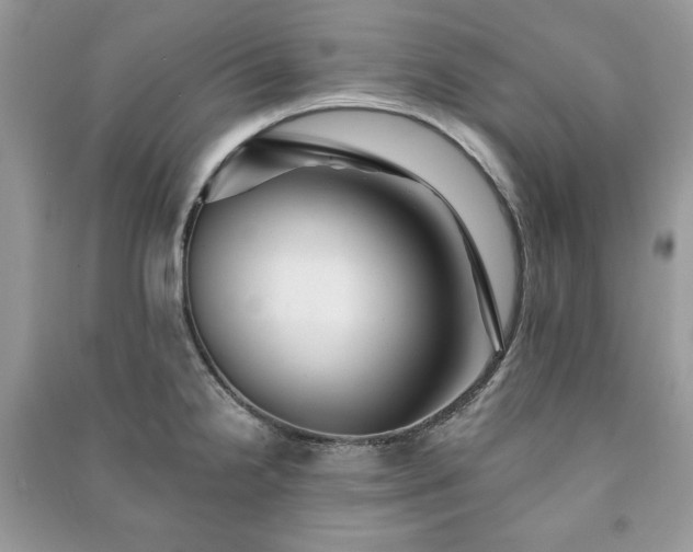 X0000090971238200708091429