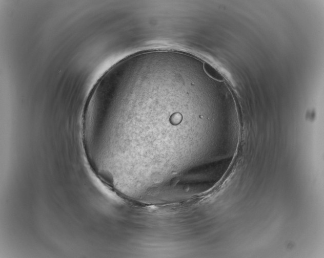 X0000090971239200708091429