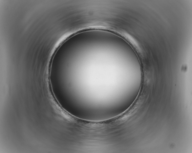 X0000090971240200708091429