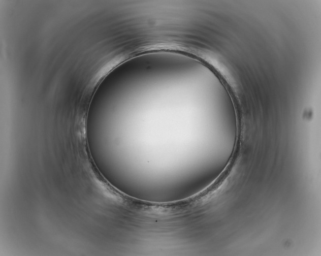 X0000090971241200708091429