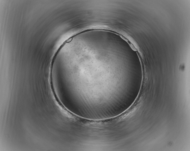 X0000090971245200708091429