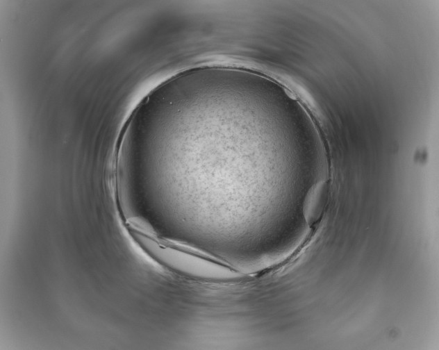 X0000090971247200708091429