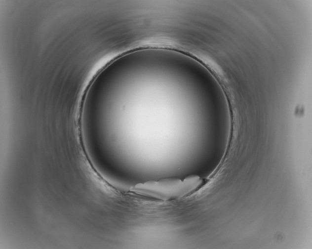 X0000090971248200708091429