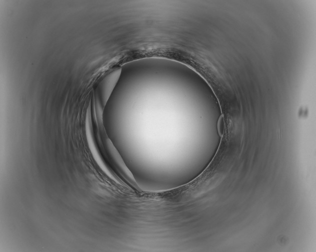 X0000090971250200708091428