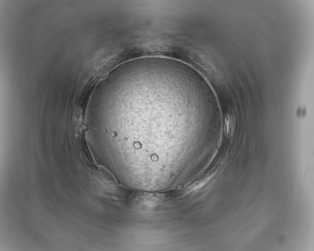 X0000090971251200708091428