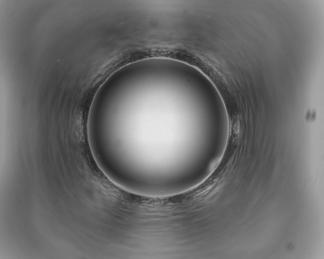 X0000090971252200708091428