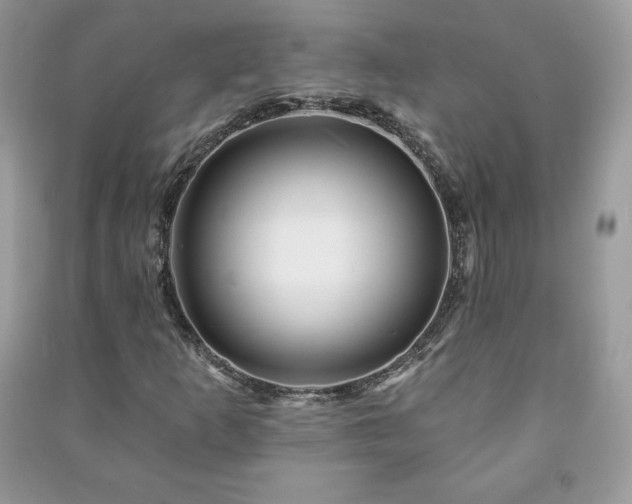 X0000090971253200708091428