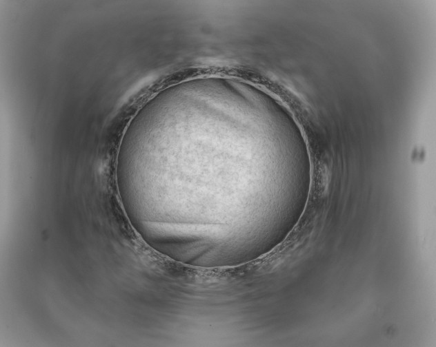 X0000090971254200708091428