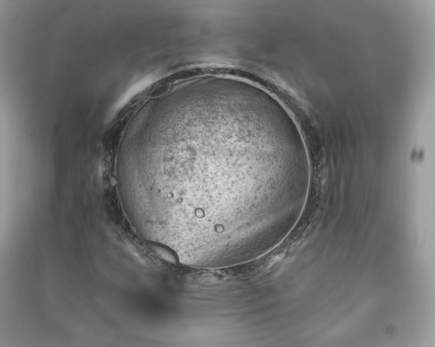 X0000090971255200708091428