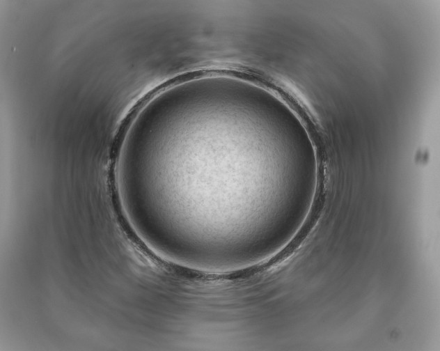 X0000090971260200708091428