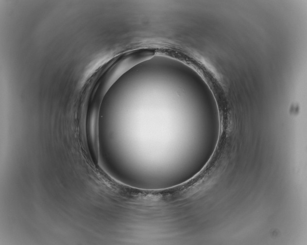 X0000090971261200708091428