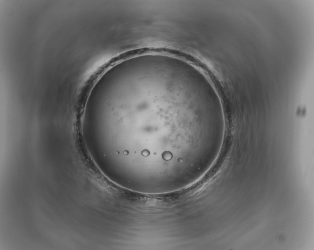 X0000090971263200708091428