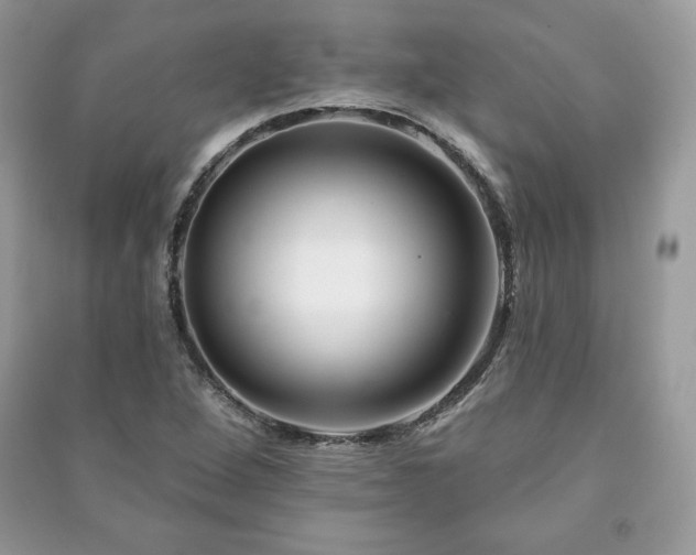 X0000090971264200708091428