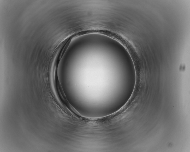 X0000090971265200708091428