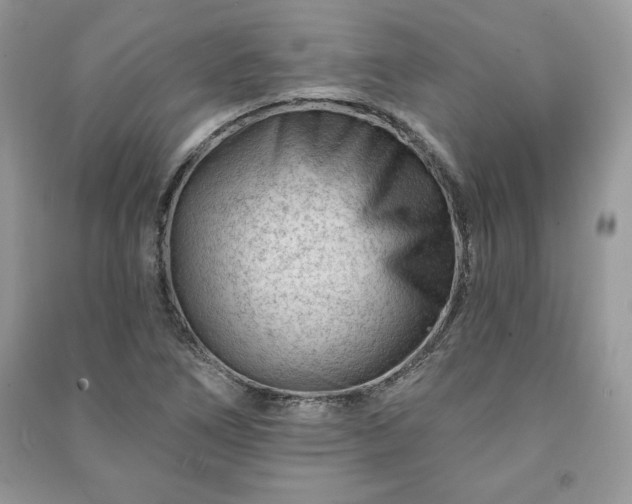 X0000090971266200708091428