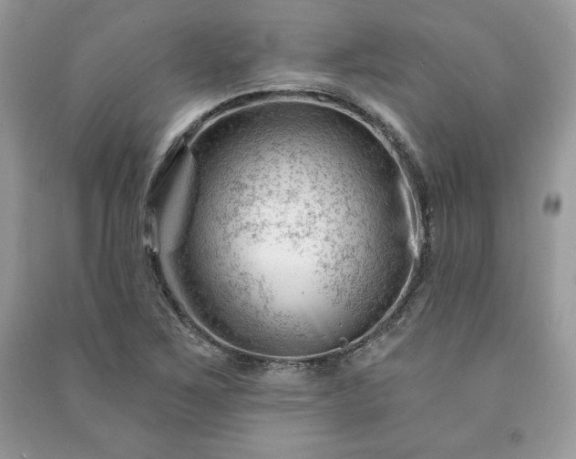 X0000090971267200708091428