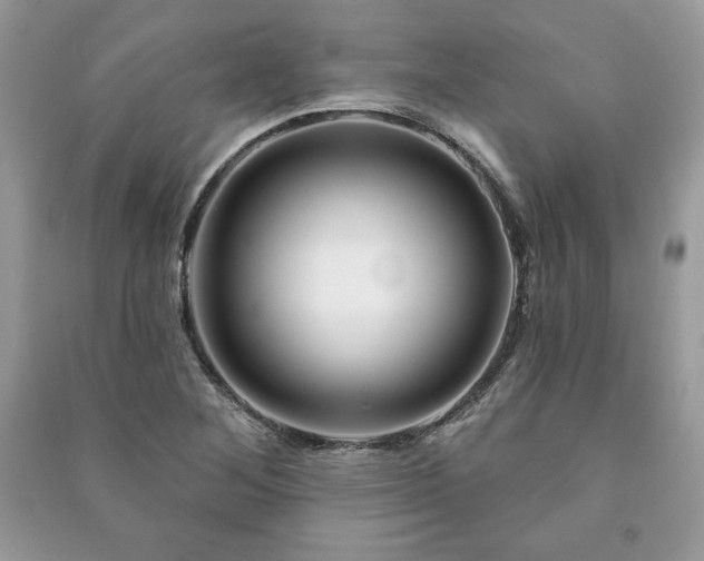 X0000090971268200708091428