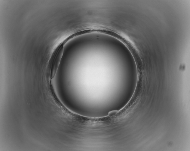 X0000090971269200708091428