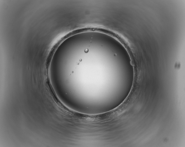 X0000090971271200708091428