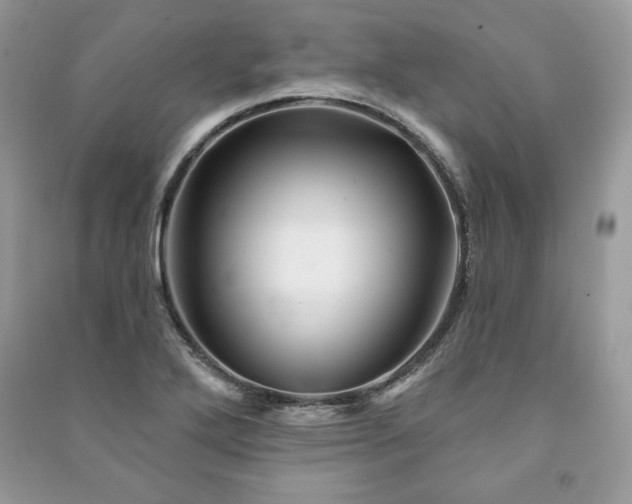 X0000090971272200708091428