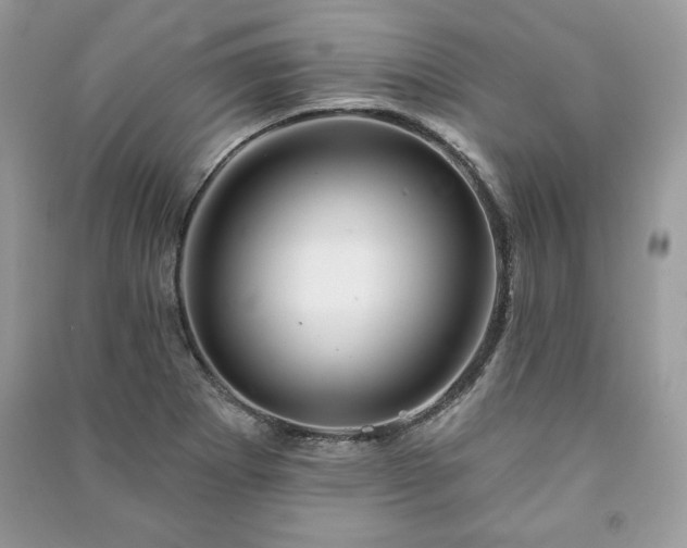 X0000090971273200708091428