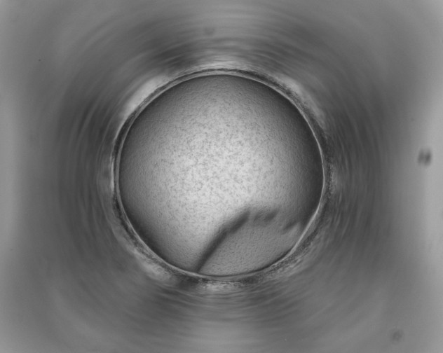 X0000090971274200708091428